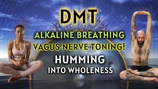 Vagus Nerve Humming DMT Alkaline Breathing  How To Tone The Vagus Nerve 3 Rounds Guided [upl. by Anilatac]