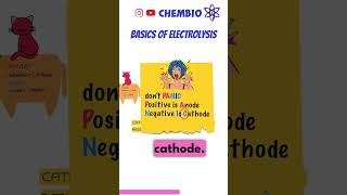 IGCSE Chemistry the basics 👌 of electrolysis ⚡ [upl. by Itnava]