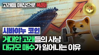 고래들이 시바이누 코인을 매수하는 이유를 구체적으로 뜯어보니까 매집할 만한 이유가 있었습니다 [upl. by Puett]