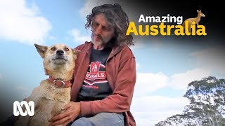 Farmer controls wild dingos with his own pack 🐶  ABC Australia [upl. by Airlee]