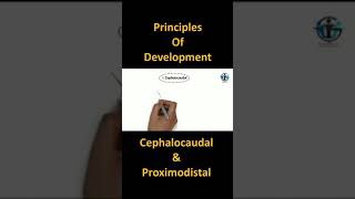 Cephalocaudal and Proximodistal Principles Of Development  shorts psychology CTET UPTET BEd [upl. by Nairdad]