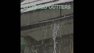 Clogged Gutters Causing Home Hassles guttercleaning home daytonohio gutterguards gutters [upl. by Donelu]