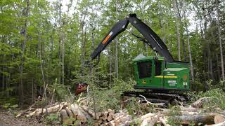 Abatteuse John Deere 1270D avec une tête d’abattage Waratah 414 à loeuvre au BasSaintLaurent [upl. by Meeks]