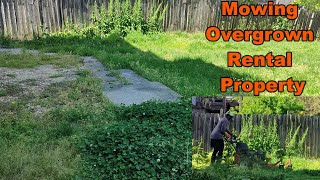 Mowing Overgrown Rental [upl. by Olegnad965]