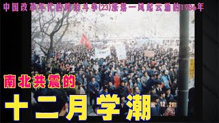 中国改革年代的政治斗争23 南北共震的 十二月学潮 [upl. by Kape]