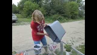 Cleaning haskap berries honeyberries with leaf blower [upl. by Duky]