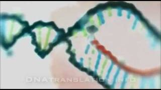 Protein synthesis DNA transcription translation and folding [upl. by Nuris]