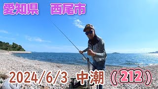 【愛知県釣り】202463 西尾市の漁港で鱚釣り（212 [upl. by Aloek78]