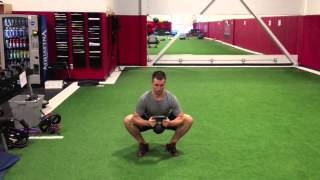 Goblet Squat Hold [upl. by Matthieu]