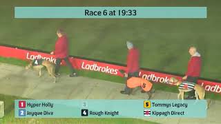 Crayford Greyhounds Races on 22nd October 2024 [upl. by Dirtsa]