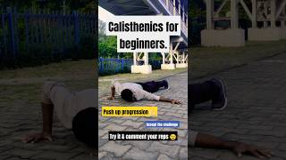 Push Up Progression  calisthenics for beginners pushups calisthenics shorts [upl. by Chemaram]