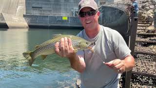 quotStairways to Trout Heavenquot  Catching Trout on the Caney Fork [upl. by Beaufort638]