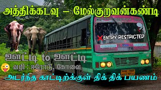 Tnstc Bus Forest Ride அத்திக்கடவு bus tnstc jungle travel Mettuppalayam to PillurDam Bus [upl. by Repinuj]