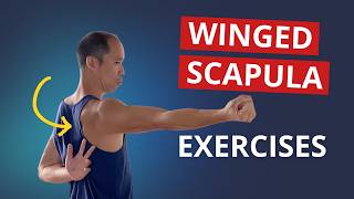 4 Exercises to Fix Winged Scapula amp Build STABLE Shoulder Blades [upl. by Smoht]