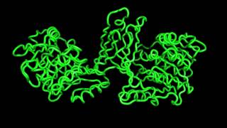 Structures of Burkholderia thailandensis nucleoside kinase  1 [upl. by Aseefan]