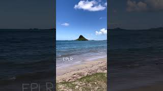 Windward Oahu shorts 4k beach [upl. by Devinne]