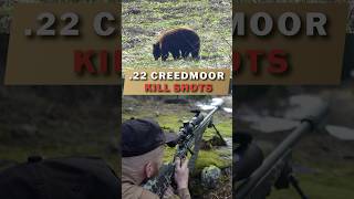 22 CREEDMOOR KILL SHOTS [upl. by Terr]