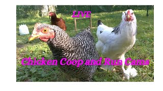 Chicken Coop Cam Live [upl. by Ykcir]