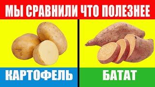 Батат  да картофель  нет и вы должны знать почему [upl. by Leopoldine]