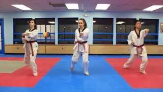 Taekwondo Basic Form 1 [upl. by Pesvoh]