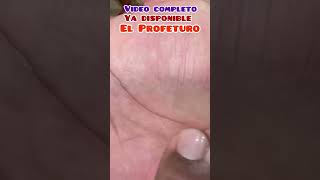 Significado de las líneas de la mano 🤚shortsdeyoutube lecturademanos [upl. by Genevra]