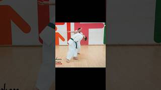 Martial arts near me  Karate classes for adults  selfdefense classes for adults near me karate [upl. by Naot999]