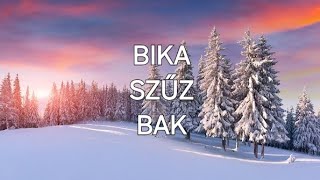 Föld jegyek 🏕 20242025 Téli időszak ❄ általános tarot elemzés [upl. by Shishko]