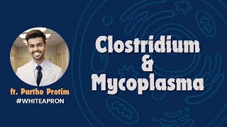 Clostridium amp Mycoplasma  Systemic Bacteriology Microbiology  White Apron [upl. by Adohr37]