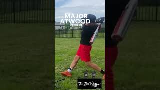 Major Atwood Batting Glove Review shorts youtubeshorts viral [upl. by Imoen117]