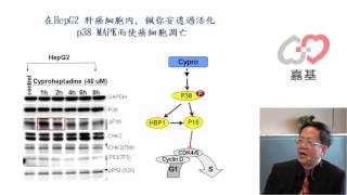 肝癌怎麼辦推薦您佩你安Cyproheptadine [upl. by Hobart741]