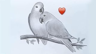 Two parrots in love by pencil sketch [upl. by Halstead]