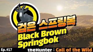 ◉ Ep 17 검은 스프링복  Black Brown Springbok [upl. by Kareem]