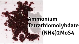 Ammonium Tetrathiomolybdate  Preparation [upl. by Wollis173]