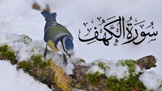 Best Surah Kahf Beautiful Recitation 2024  Tilawat Quran Best Voice  سورة الكهف [upl. by Ernestus372]