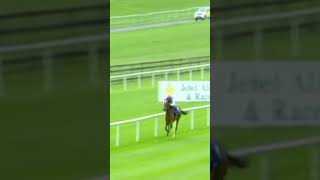 Enable was magnificent in the 2017 Irish Oaks 🏆 horseracing racingtv britishhorseracing [upl. by Samale166]