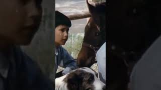 Run Appaloosa Run 1966 movie walkingonsunshine walkinginthesun [upl. by Naashar290]