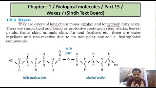 Chapter 1   Biological Molecules  Part 15  Waxes  Sindh Text Board [upl. by Hanonew]