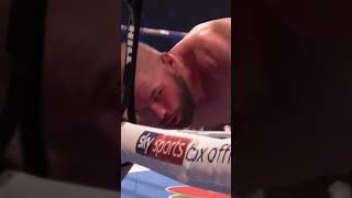 usyk vs bellew boxing bellew brutal knockout [upl. by Lyrahs]