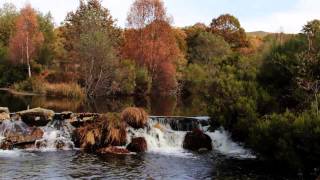 5 Reinos  Parque Natural do Alvão [upl. by Senga145]