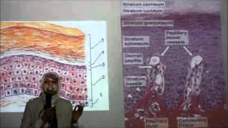 Histology revision by DRiman nabeel [upl. by Heinrike246]