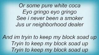 Akon  Gringo Lyrics [upl. by Rory]