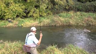 Tenkara on a Spring Creek  Brown on a quotpause and driftquot technique [upl. by Iralav250]