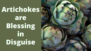 Artichokes Top 8 Health Benefits [upl. by Enigroeg]