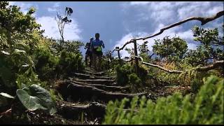 Azores Trail Run 2014  Reportagem RTP [upl. by Reamy]