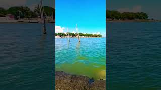 CHILIKA BALUGAON  odisha khordha shortvideos bestplace 👍👍 [upl. by Belter]