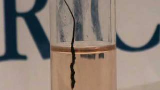 Carbon nanotube fibre dissolving in chlorosulfonic acid [upl. by Alyk]