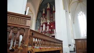 Improvisatie  Psalm 122 vers 3 en 1  vanuit de Grote of St Stephanus Kerk te Hasselt [upl. by Nae940]