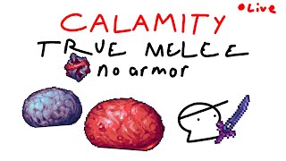 calamity true melee no armor expert death part 2 [upl. by Eiznek]