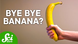 Bananas Are Not What You Think  The Shocking Truth [upl. by Adrianne454]