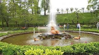 Peterhof Grand Palace  Lower French Gardens [upl. by Enomahs]